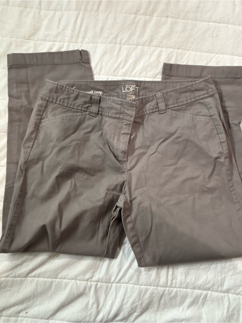 LOFT Men’s Gray Straight Crop Chinos